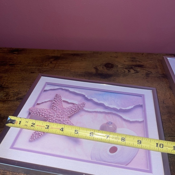 Sea Shell prints frames - Picture 11 of 12